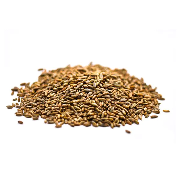 Rye Grain