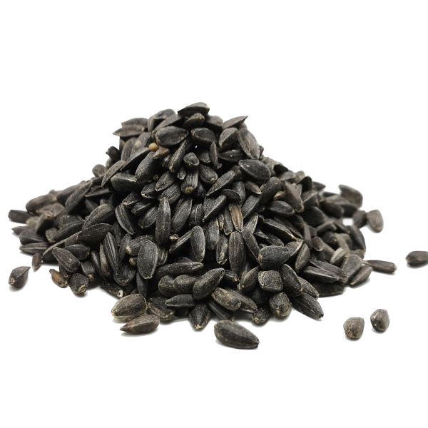 Black-Oil Sunflower Seeds