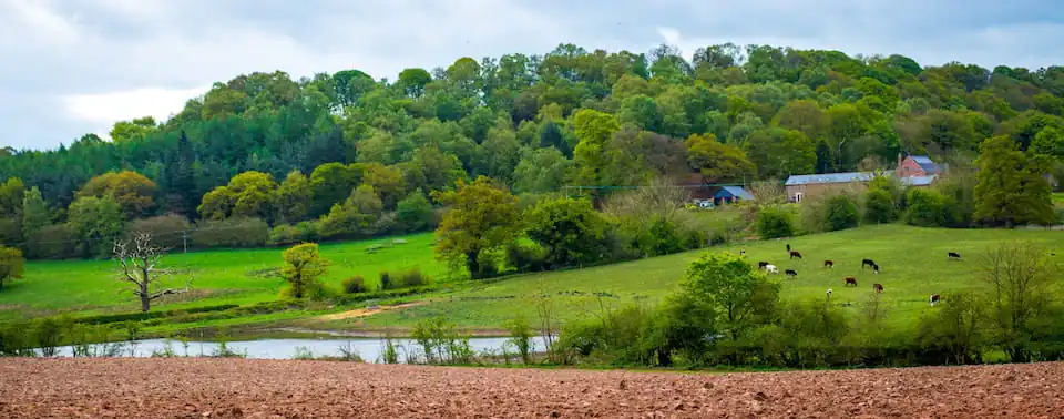 What’s Shaping UK Agriculture This Spring