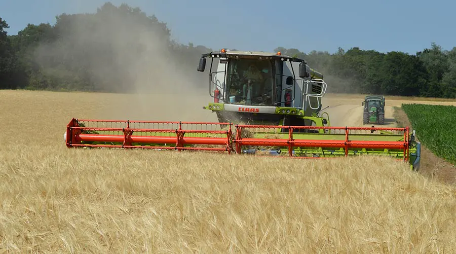 July Market Update: Harvest Begins Amid Heat, Dry Weather and Changing Markets