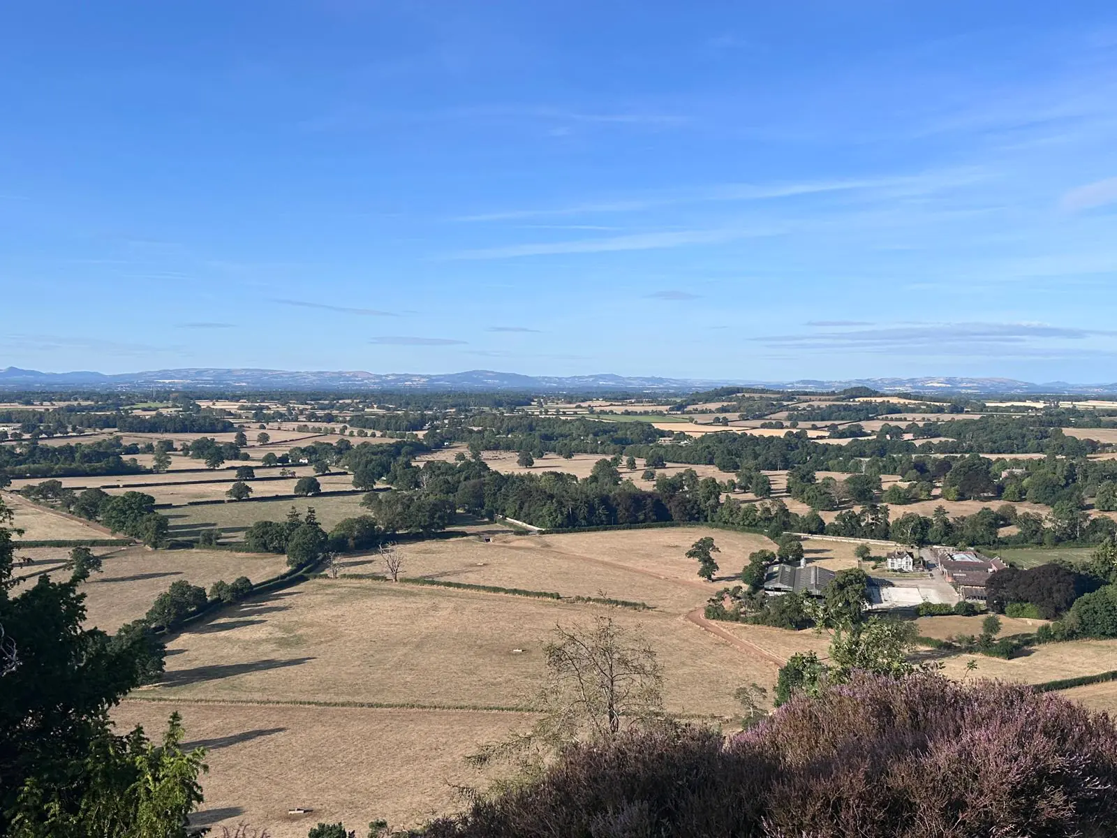 August on the Farm: Navigating a Challenging Summer for UK Livestock